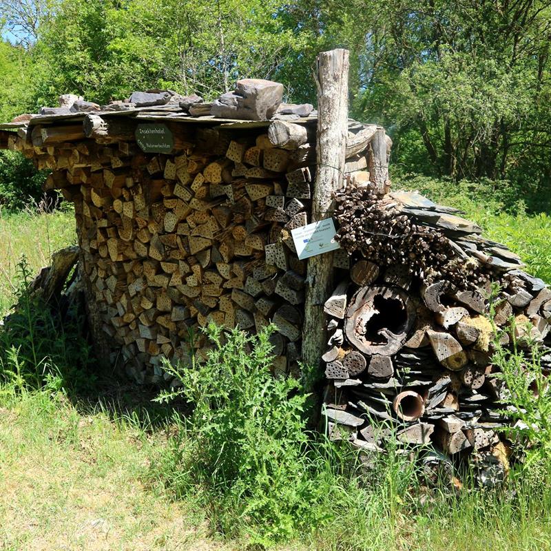 Insektenhotel - Naturpädagogischer Garten