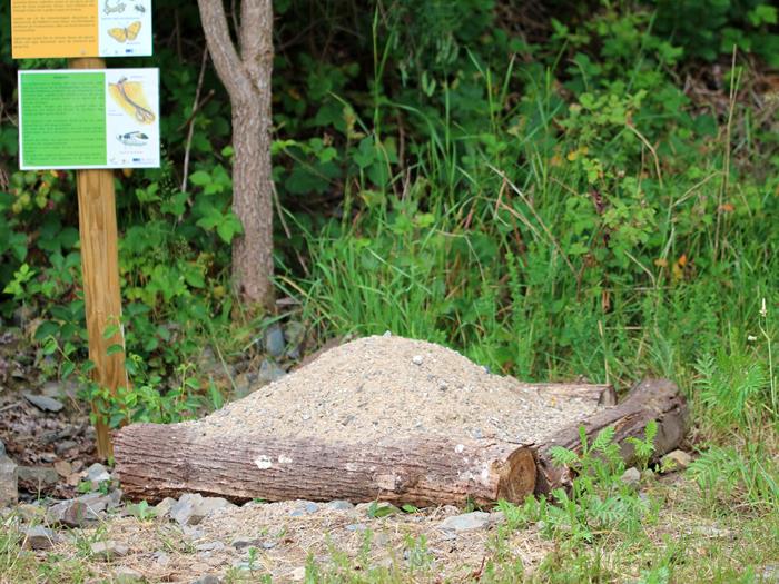 Nistplatz für Wildbienen - Naturpädagogischer Garten