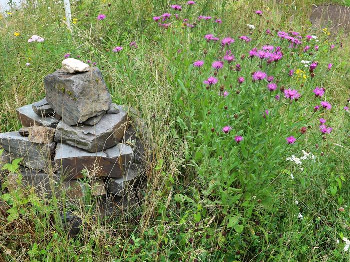 Steinhaufen für Eidechsen und andere Tiere